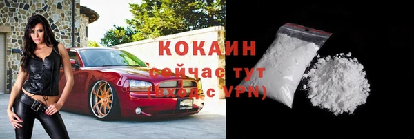 винт Краснослободск