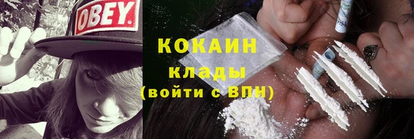 винт Краснослободск