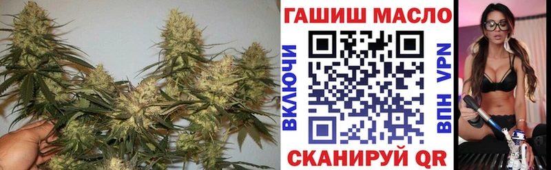 Купить где Азов ТГК концентрат