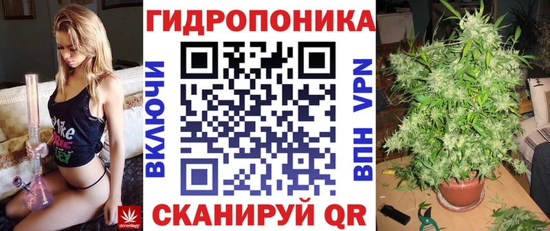 Купить где Азов Бошки Шишки конопля